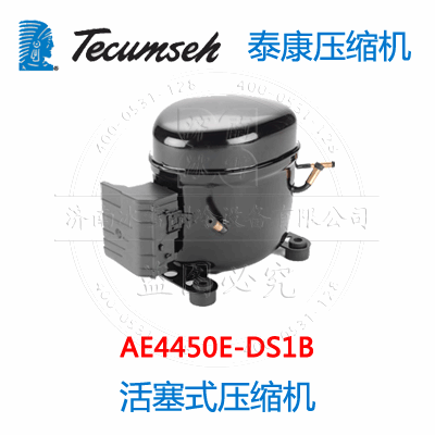 AE4450E-DS1B